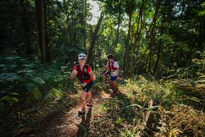 BIB: 
                            <button type="button" onclick="openModal(22544721)" class="btn btn-primary btn-sm float-right btn-popup" data-toggle="modal" data-target=".modal-high-quality">
                        <i class="fas fa-shopping-cart"></i> Add to Cart
                    </button>
                                            <button type="button" onclick="isThisMe(22544721, true)" class="btn btn-success btn-sm float-right btn-popup btn-isme hidden" data-toggle="tooltip" data-placement="bottom" title="นี่คือรูปของคุณใช่ไหม คลิกที่นี่เพื่อเอาเข้าอัลบั้ม">
                        <i class="fas fa-plus"></i> Add to album
                    </button>
                    <button type="button" onclick="isThisMe(22544721, false)" class="btn btn-warning btn-sm float-right btn-popup btn-isnotme hidden">
                        <i class="fas fa-ban"></i> Remove from album
                    </button>